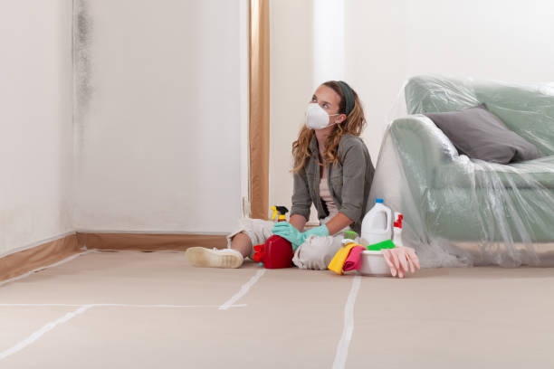 Reliable Mold Remediation contractor in Weston, MA by Car Mold Remediation